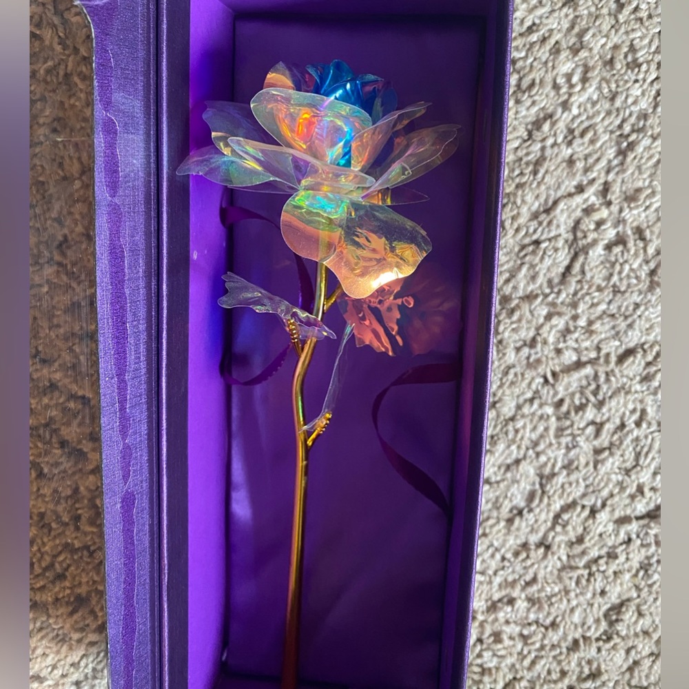 Iridescent and golden Rose